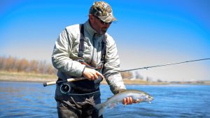 Montana trout spey fishing