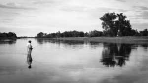 Missouri River Brown Drakes