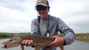 Missouri River Pike Fishing