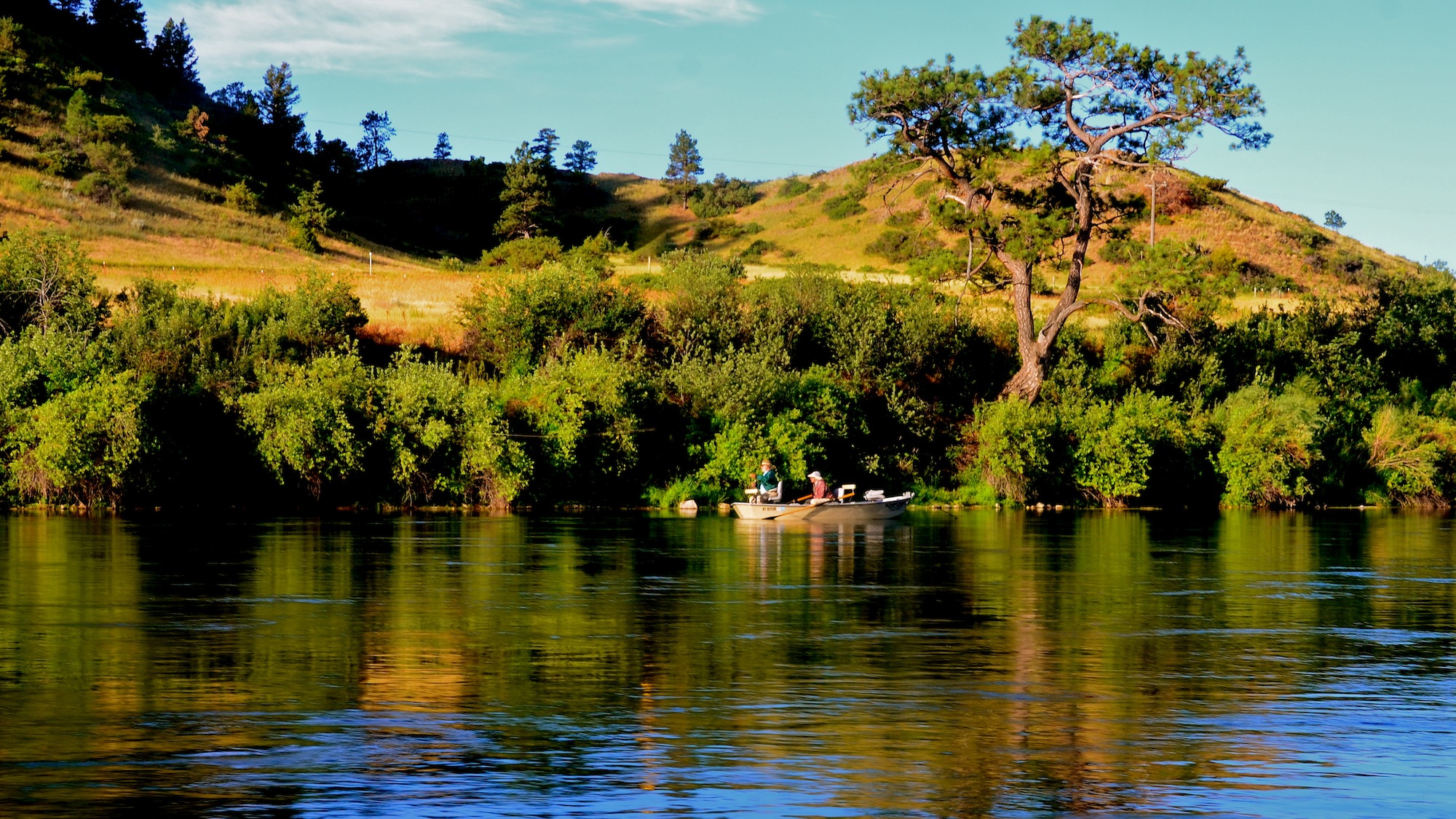 Missouri River Montana Fishing Report plus 5 Late July Tips