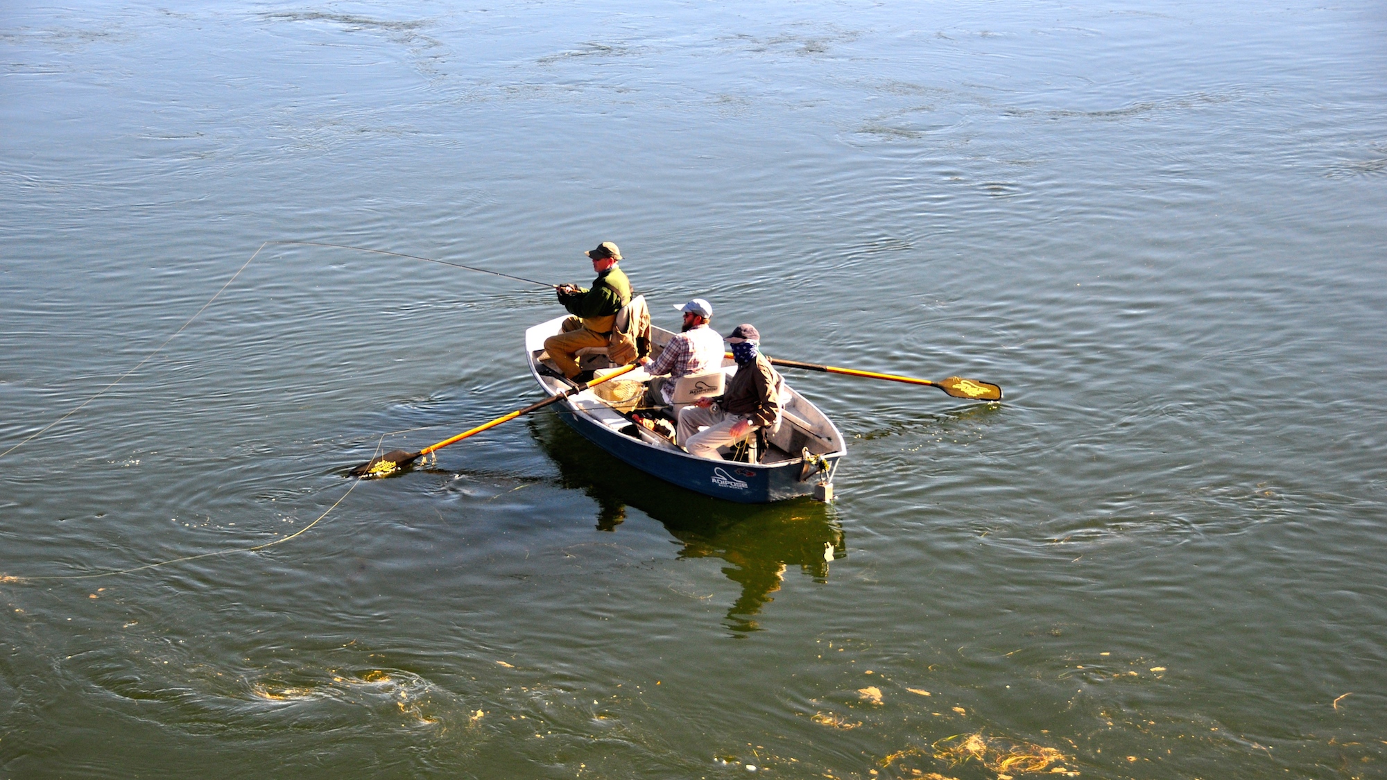 Sunday Fishing Report