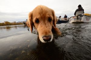 Missouri River Fall Fishing Images