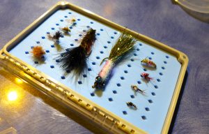 Top 10 Missouri River November Flies