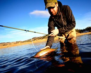 Missouri River Winter Fishing Report 11.8.15