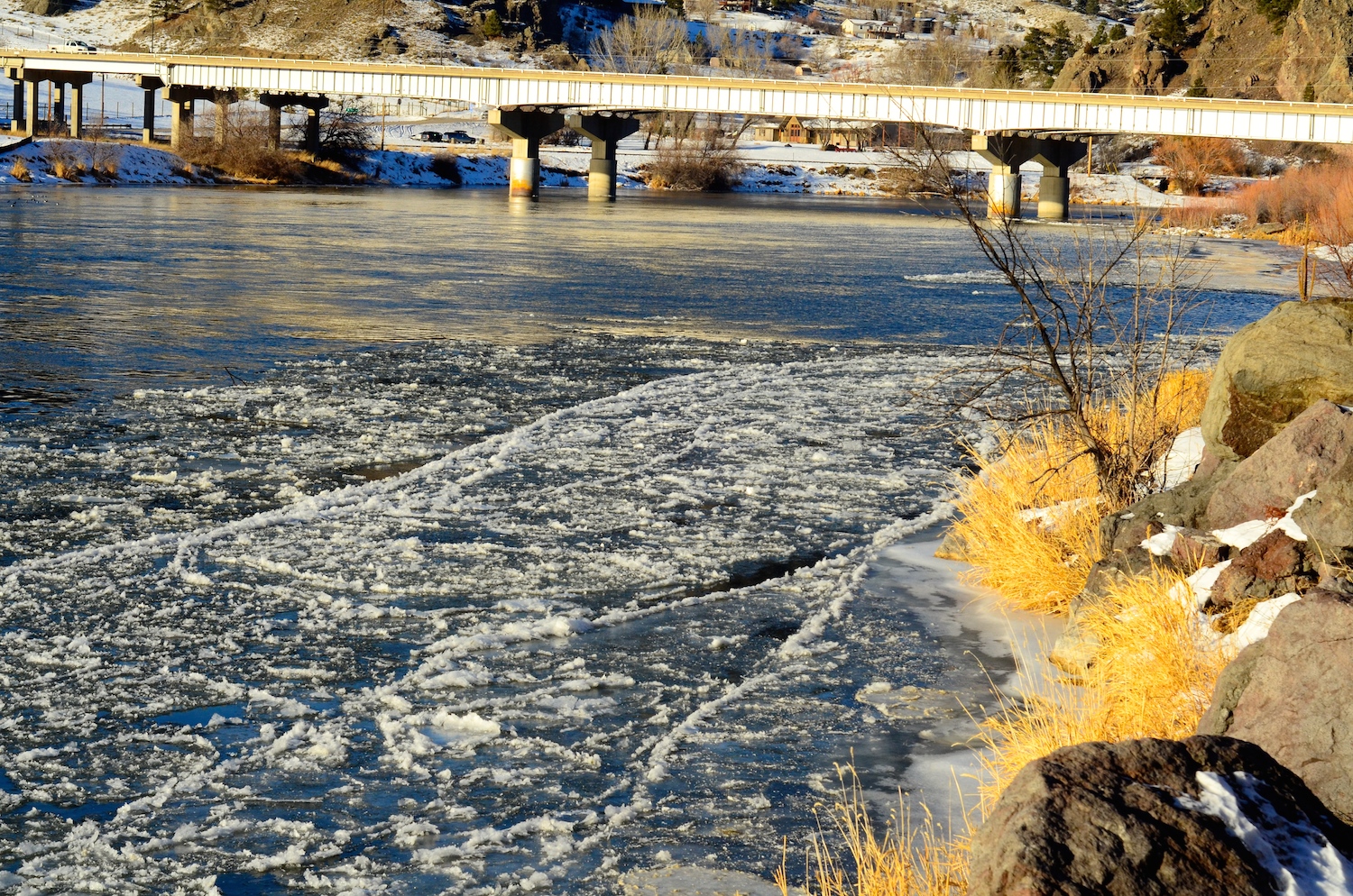 Sunday Shelf Ice