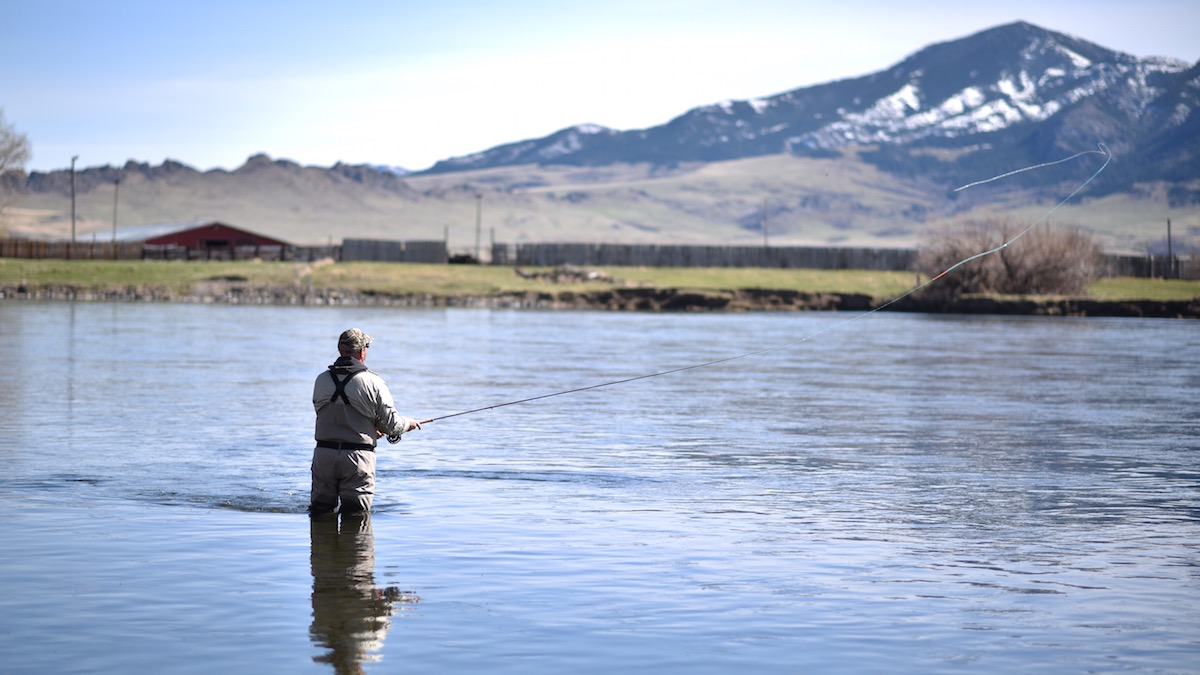 Montana Trout Spey