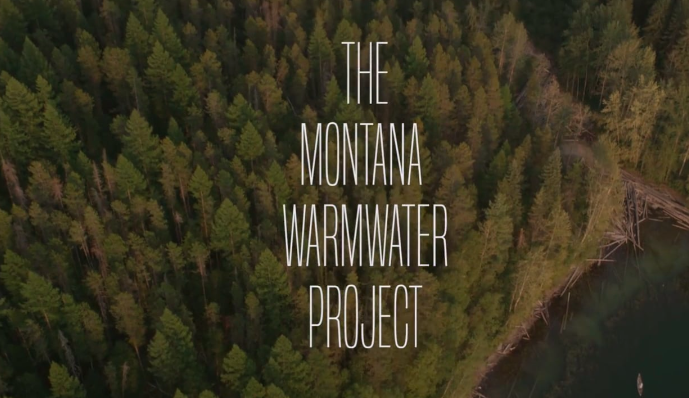 The Montana Warmwater Project