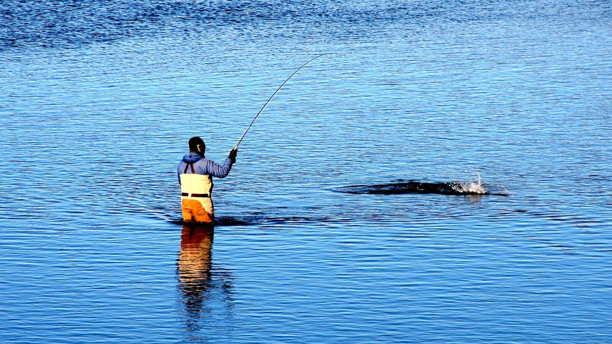 February Fly Fishing Forecast 2016