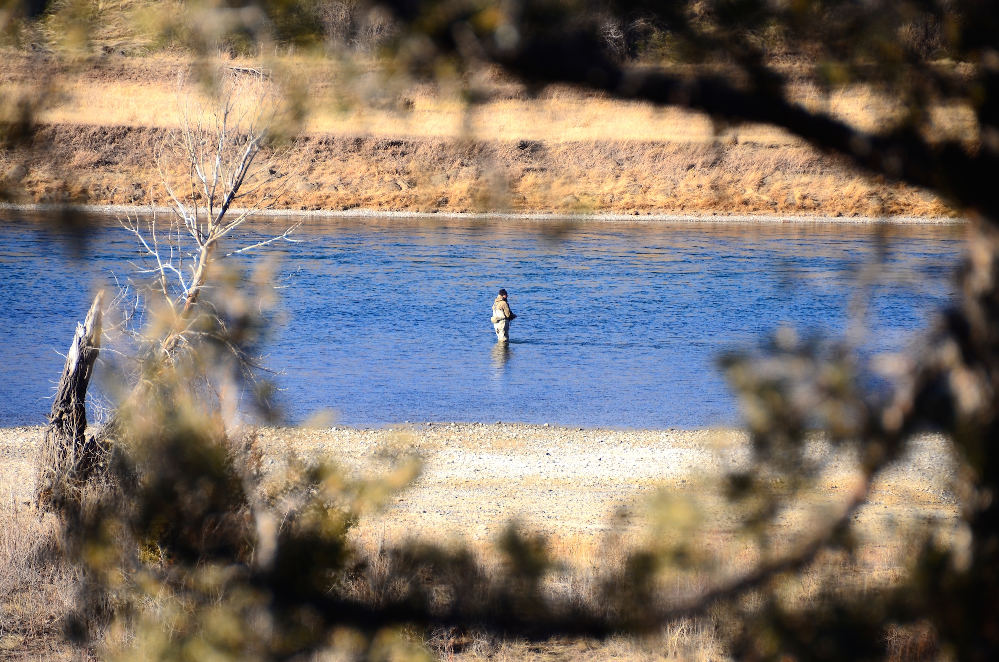 Missouri River Montana Fishing Report