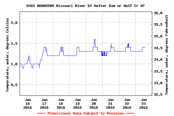 Sunday Morning Fishing Report Headhunters Style