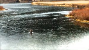 Missouri River Fishing Report