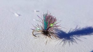 Snowshoe Midge