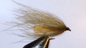 Stockig Wing Caddis