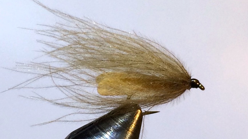 Stockig Wing Caddis