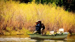 Dry Fly Education