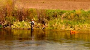 May Missouri River Fishing Forecast