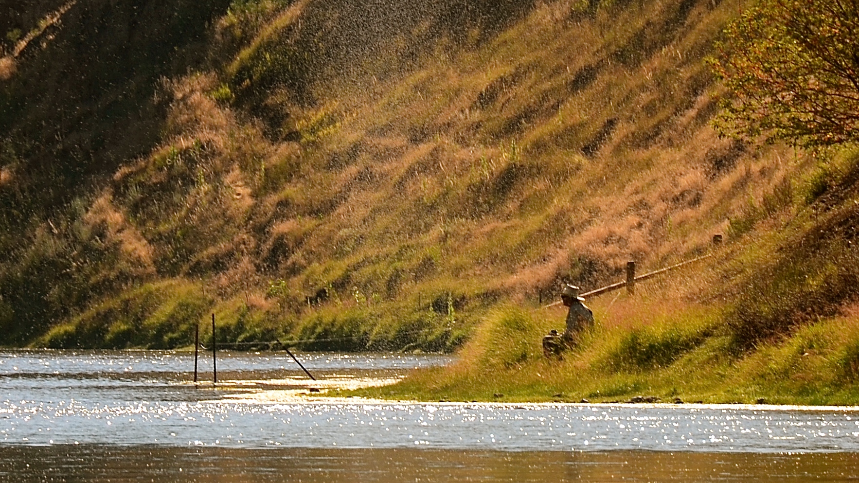 Late July & August Missouri River Fishing Forecast