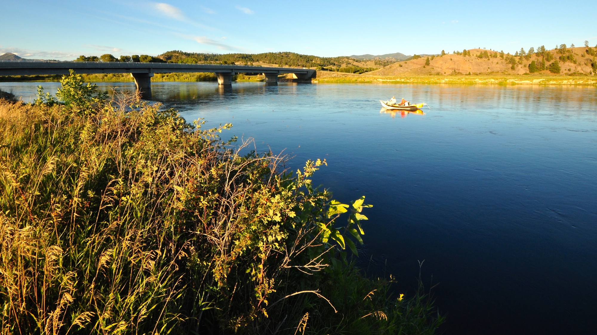 Friday Foto An Early Fall in Montana?