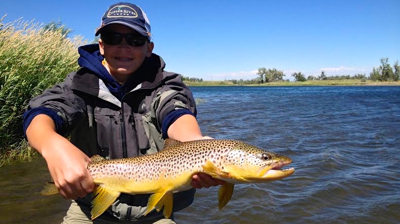 Silly Sunday Scenery Brown Trout