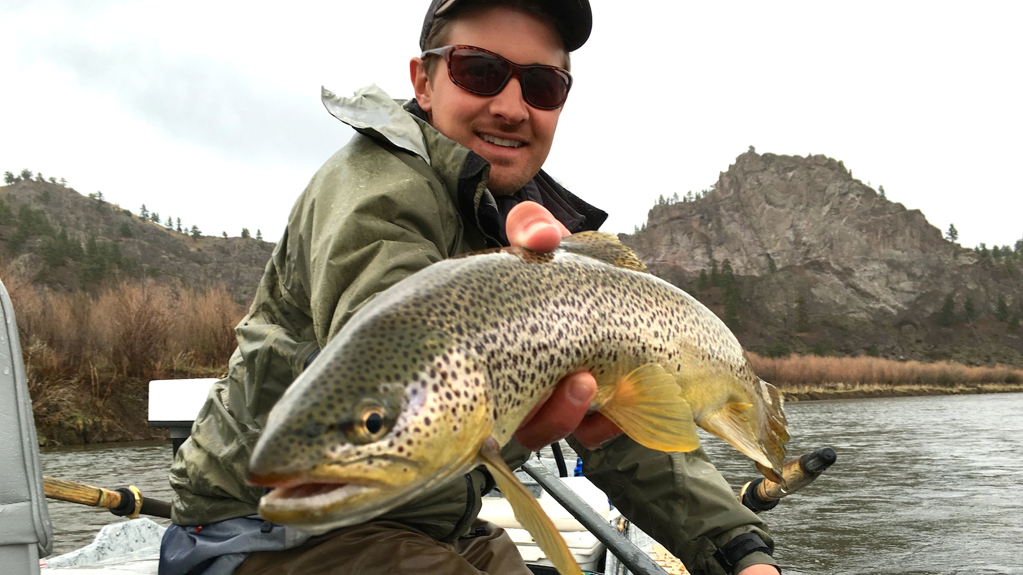 Hump Day Brown Trout