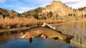 Saturday Missouri River Fishing Report 10.29.16