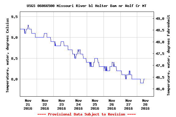 Cyber Monday Fishing Report