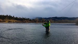 Monday Snow Day, Trout Spey, & Shop w/Headhunters