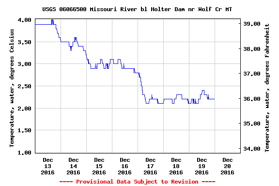 Missouri River Montana Pre-Holiday Fishing Report