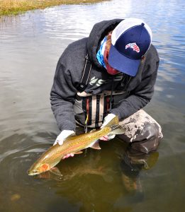 Friday Foto Rainbow Trout Image