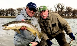 Hump Day Brown Trout