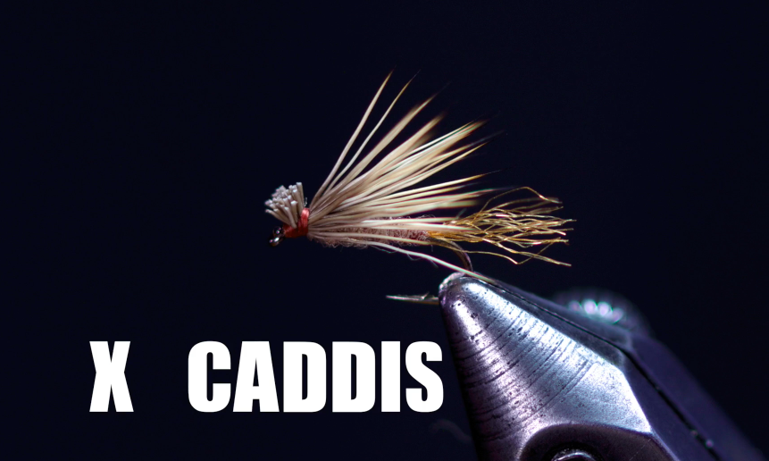 X Caddis Video