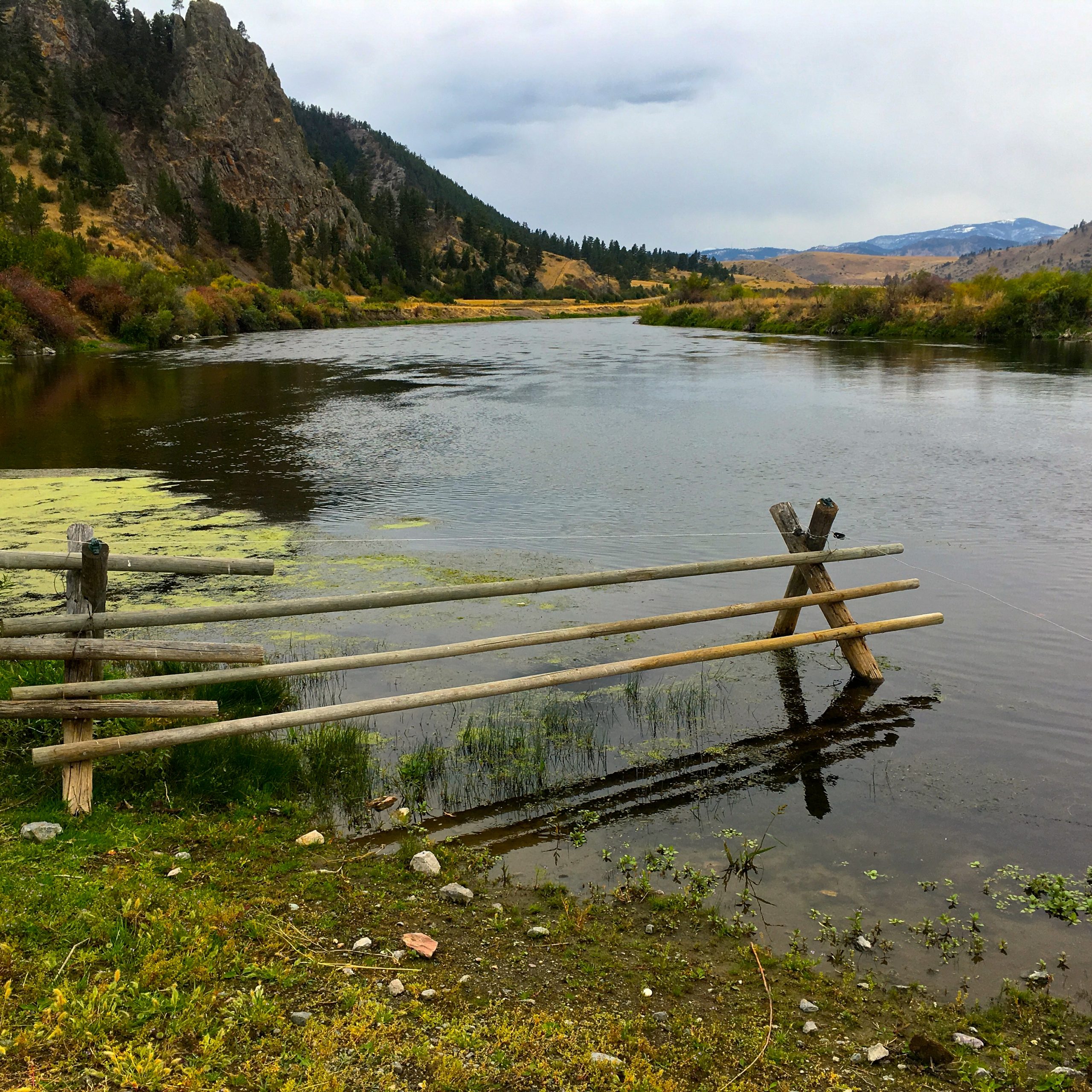 Hump Day Fishing Report Montana's Missouri River