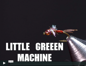 Little Green Machine JAV