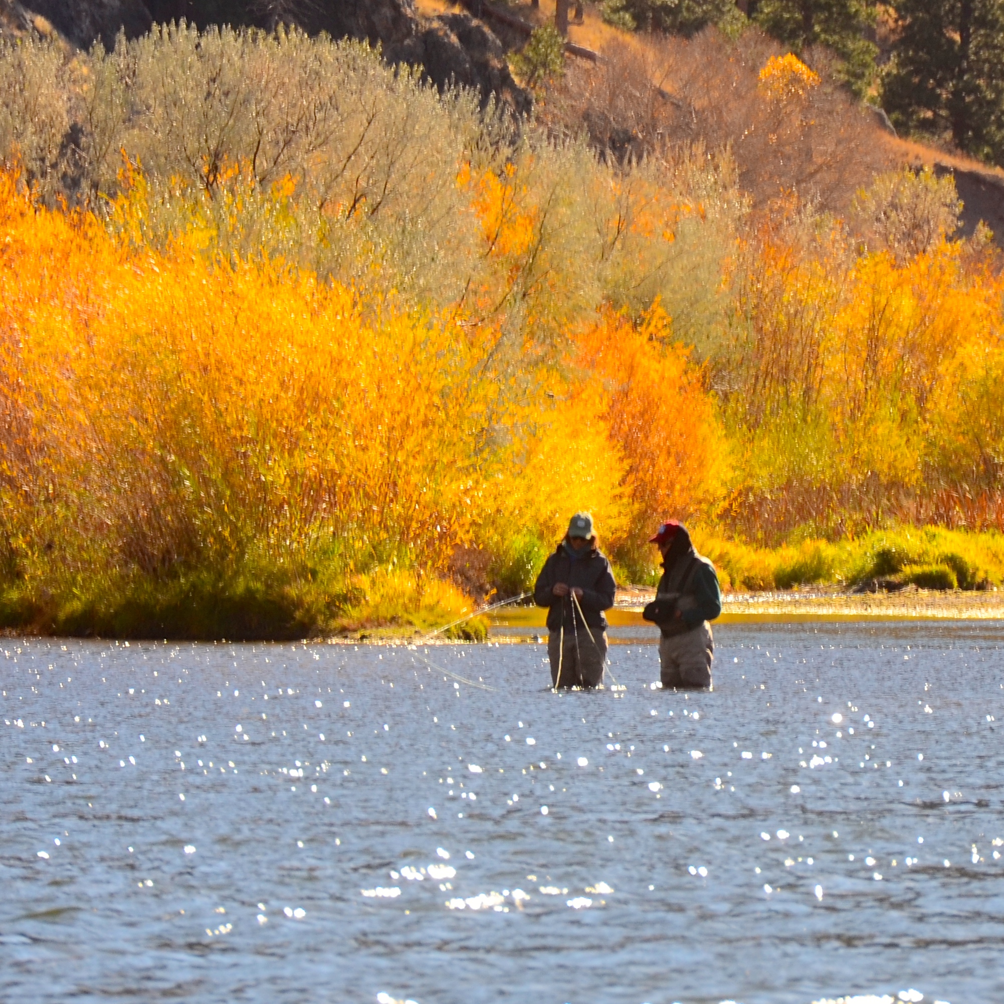 Trout Spey on the Missouri River