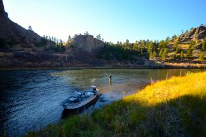 November Missouri River Fly Fishing Forecast