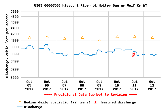 Mid October Missouri River Fishing Report 10.12.17 Good times in the fall months as we look at the Mid October Missouri River Fishing Report 10.12.17. We love the last couple months of traditional fly fishing here in central Montana. IT does get better everyday from here on out. All the way until Thanksgiving. Ten it gets cooler all the way til March 15th. Then it gets warmer all the way til July 5th. Then it gets harder until September 1st. Then the fishing improves until...then repeat. October and November is many anglers favorite months. That includes me. A great time. Shorter days, great hatches, fantastic swinging weather, a good streamer bite, and dry fly Valhalla a few days each month. We have had 4 of those days already. I have always thought that if you get 5 great days in October that will make me happy. Now, this month, I am shooting for 8. Another 4 ahead of us in the next 19 days? Will it happen? Only those on the river will know. So it is vital that you are here for those random, unreal, favorable days as we move forward. Nymphers Unite Great nymph fishing. The winning combo has been a Czech Nymph or a worm or a Beaded Sow up top. The bottom fly has been a Tailwater Sow, some sort of sow in the morning. As the sun gets higher the Little Green Machine has been pretty standard. 4 to 6 feet front he bobber and run it through the good water.  Make sure the net is ready. The upper river has been producing those larger fish common for any waters above Mid Canon. The canyon has a bundle of baby fish and juveniles coupled with some larger trout. The lower river...nobody nymphs the lower river do they? Streamer Anglers  Intermediate tips or dry lines are the most common. Some tossing type 3 tips too. Type 6? Not as much. Lots of good skinny water to pull those linkers from out there. 3500 cfs is not too bad. Not as good as 5K in my opinion. 
