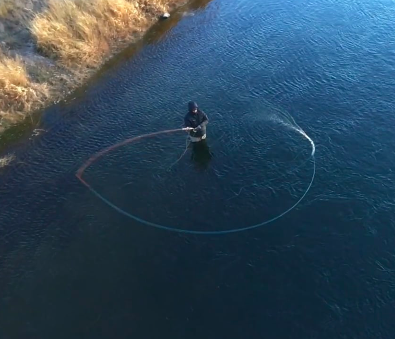 Double Spey Cast