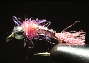 Pink Lightening Bug JAV Video