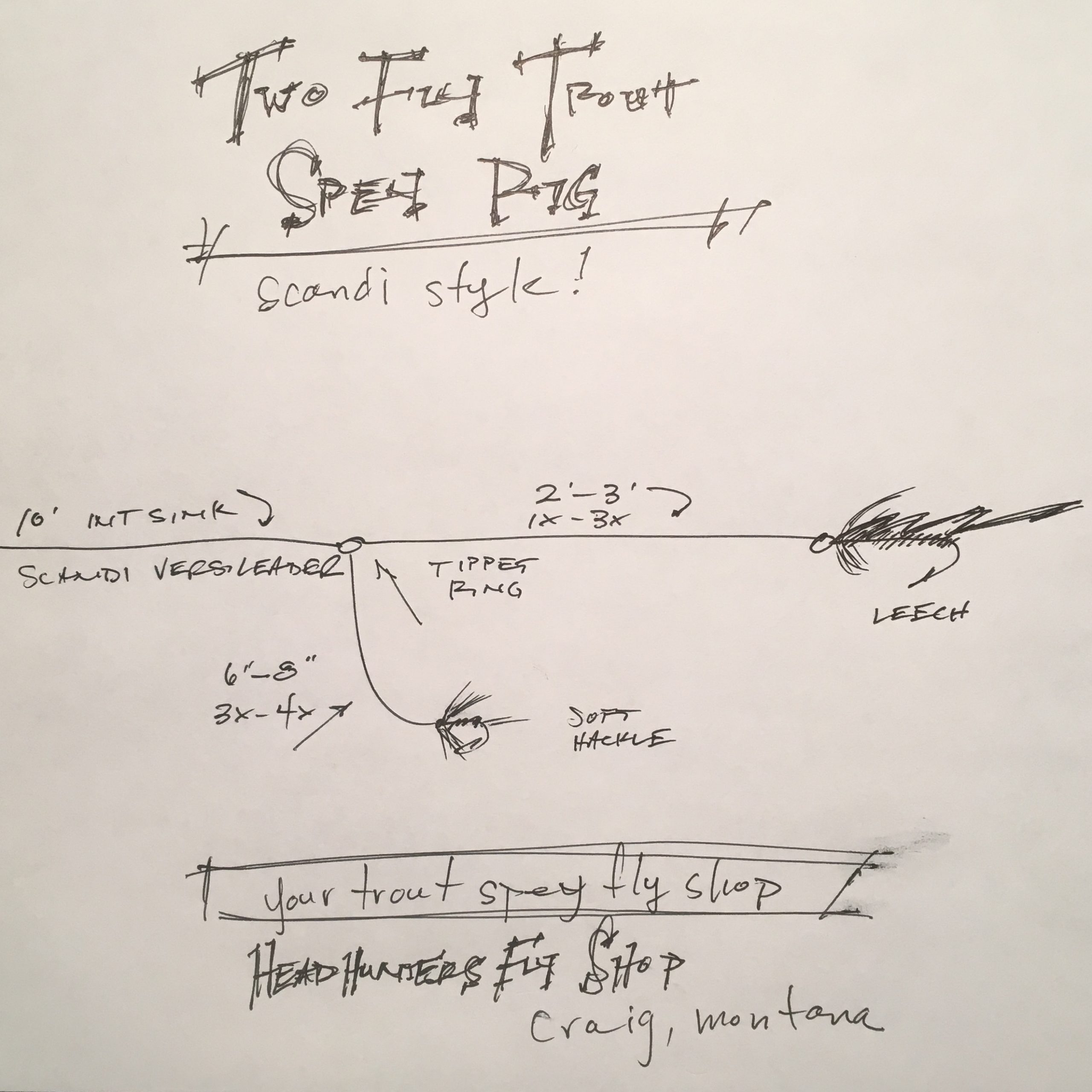 Two Fly Trout Spey Rig