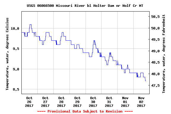 Missouri River Trout Spey Report