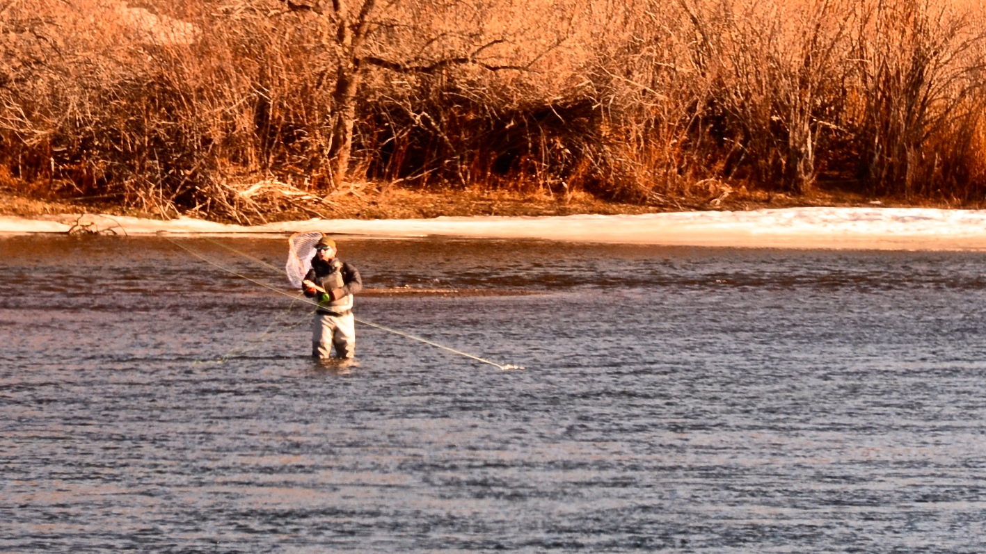 Late January Missouri River Fishing Report