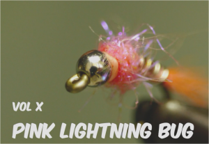 Pink Lightening Bug Video