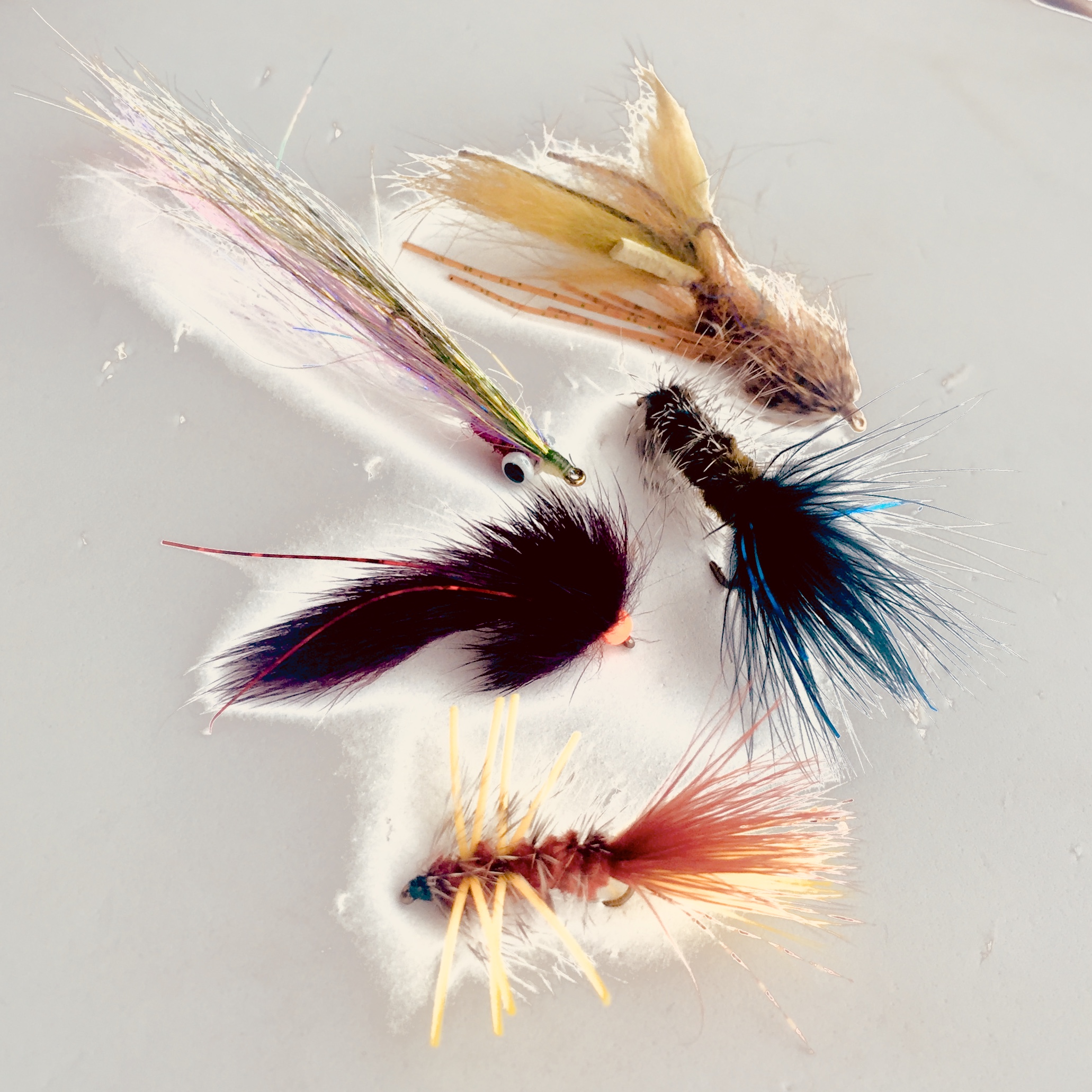 Top 5 Flies for Swingers