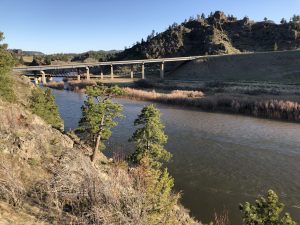 Missouri River Fishing Report April 29th