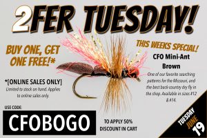 2FER TUESDAY BOGO CFO ANT