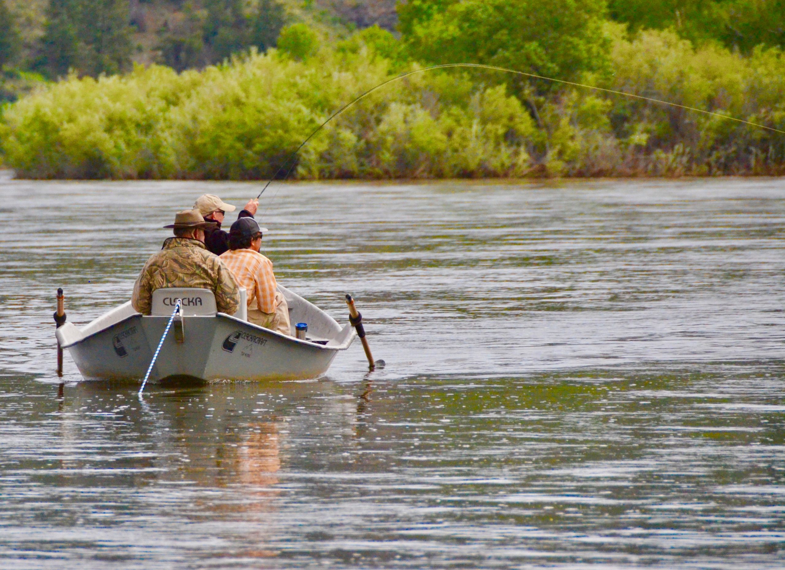 Dry Fly Days Ahead