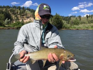 Blackfoot River Report