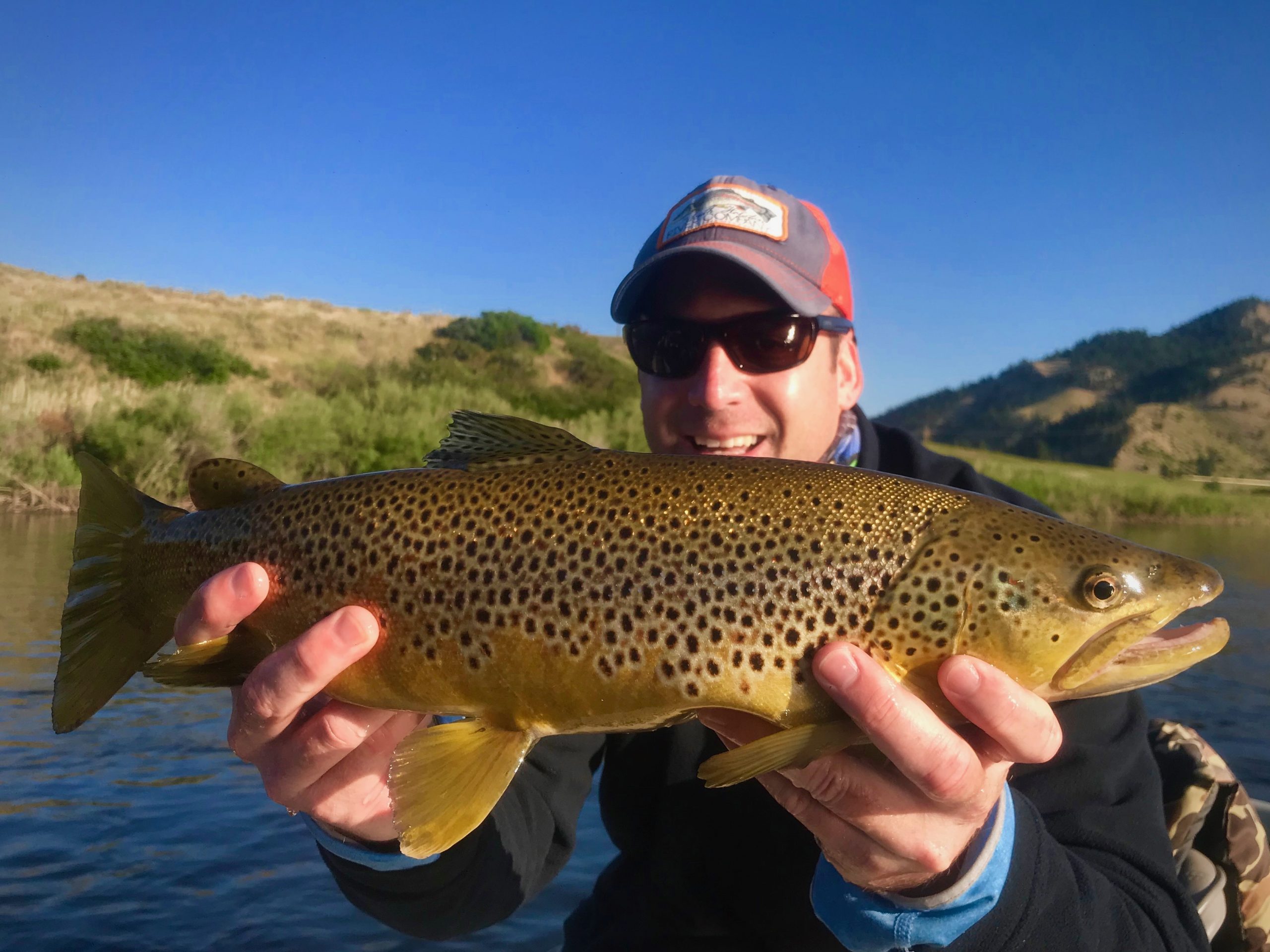 Friday Foto Dry Fly Brown Trout