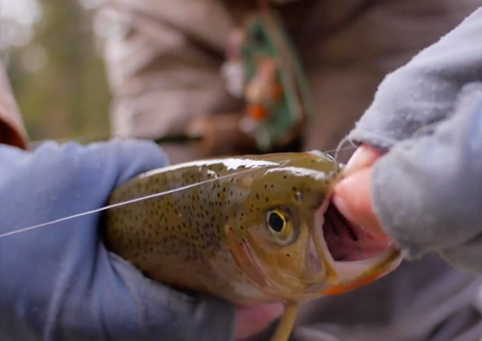 Blackfoot River: Always Worth The Trip Video