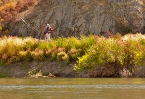 Fall Colors on the Mo